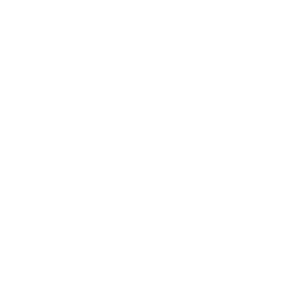 Razzi